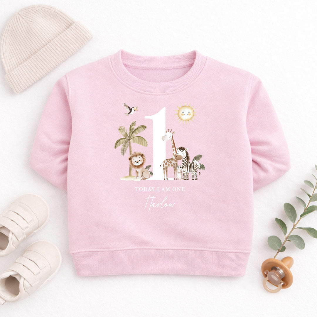 Personalised Safari Jungle Today I Am One First Birthday Jumper
