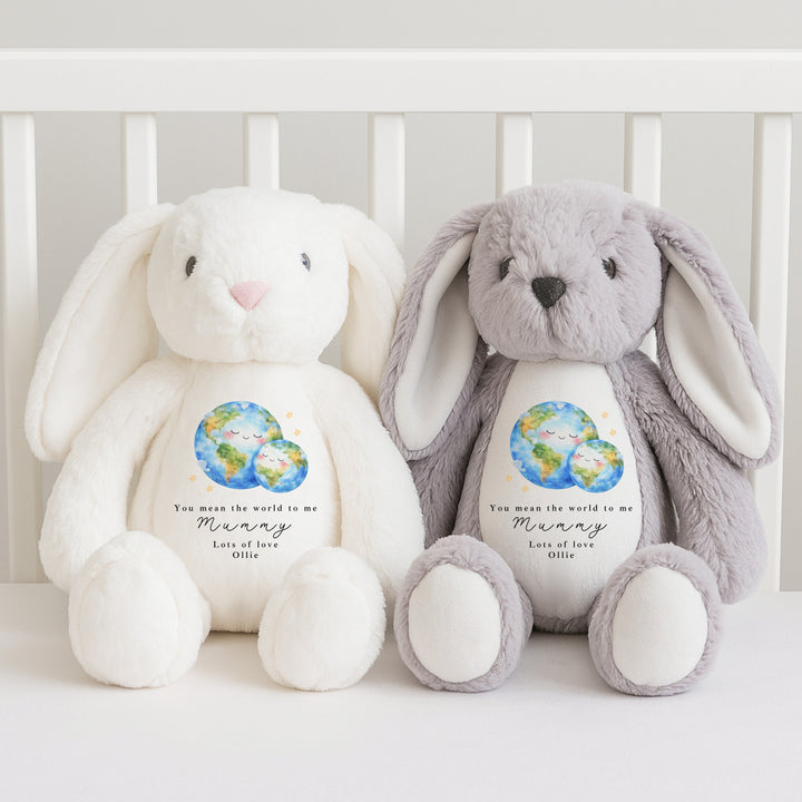 Personalised You Mean The World To Me Mummy Teddy