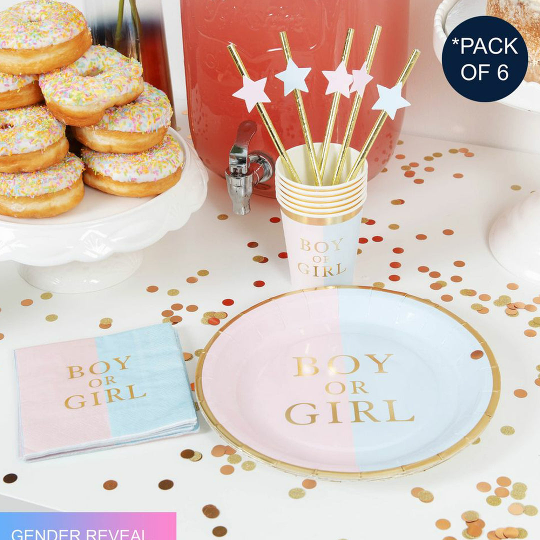 24 Piece Gender Reveal Party Pack
