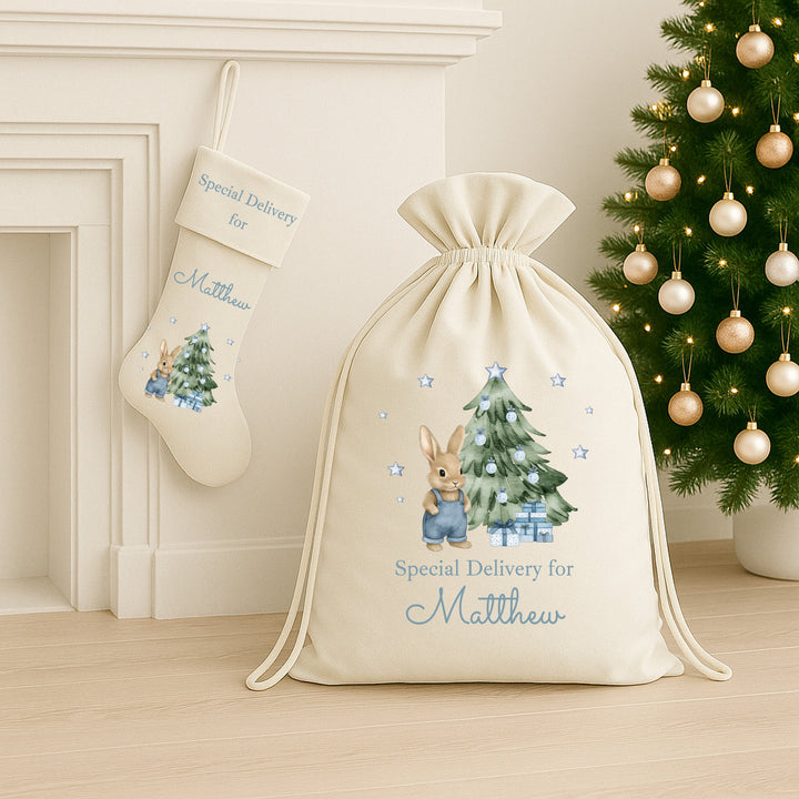 Personalised Blue Bunny Santa Sack or Stocking