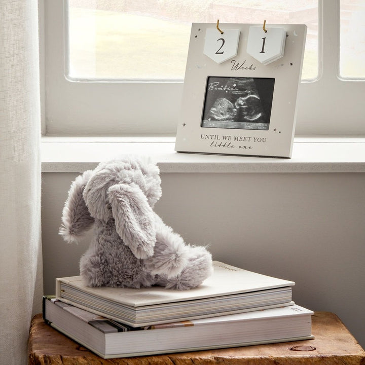 Countdown Baby Scan Photo Frame